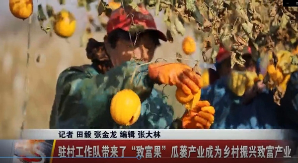 陕西电视台新闻联播 | 澄合矿业驻村工作队带来了致富果瓜蒌产业成为乡村振兴致富产业